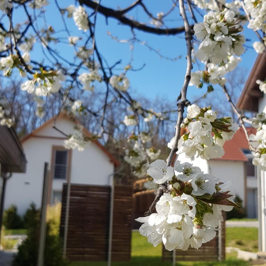 Kenese-Voelgye Villahotel Балатонкенесе Екстериор снимка